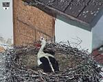 Capi_Dubne_20250430_110004.jpg
