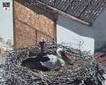 Capi_Dubne_20250430_135004.jpg