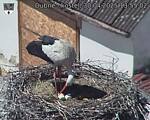 Capi_Dubne_20250430_135502.jpg