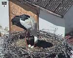 Capi_Dubne_20250430_140504.jpg