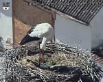 Capi_Dubne_20250430_152502.jpg