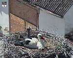 Capi_Dubne_20250430_153003.jpg