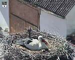 Capi_Dubne_20250430_155002.jpg