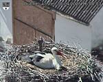 Capi_Dubne_20250430_160003.jpg