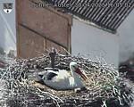 Capi_Dubne_20250430_160502.jpg