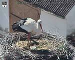 Capi_Dubne_20250430_161502.jpg