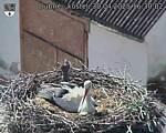 Capi_Dubne_20250430_163002.jpg