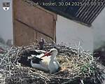 Capi_Dubne_20250430_170003.jpg