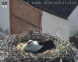 Capi_Dubne_20250430_171503.jpg (1350 x 1080)