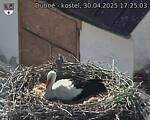 Capi_Dubne_20250430_172503.jpg