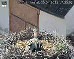 Capi_Dubne_20250430_173502.jpg