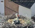 Capi_Dubne_20250430_174004.jpg