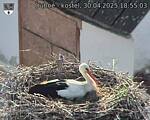 Capi_Dubne_20250430_185503.jpg