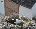 Capi_Dubne_20250430_190002.jpg