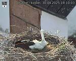 Capi_Dubne_20250430_191003.jpg