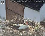 Capi_Dubne_20250430_191502.jpg