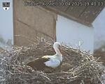 Capi_Dubne_20250430_194003.jpg