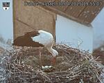 Capi_Dubne_20250430_195503.jpg