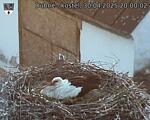 Capi_Dubne_20250430_200002.jpg