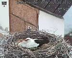 Capi_Dubne_20250430_202002.jpg