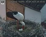Capi_Dubne_20250430_203502.jpg