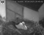 Capi_Dubne_20250430_204502.jpg