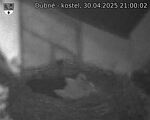 Capi_Dubne_20250430_210002.jpg