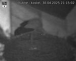 Capi_Dubne_20250430_211502.jpg