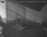 Capi_Dubne_20250430_212002.jpg