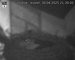 Capi_Dubne_20250430_213002.jpg