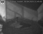 Capi_Dubne_20250430_214502.jpg