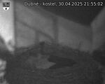 Capi_Dubne_20250430_215502.jpg