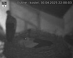 Capi_Dubne_20250430_220003.jpg