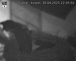 Capi_Dubne_20250430_220502.jpg