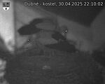 Capi_Dubne_20250430_221003.jpg