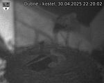 Capi_Dubne_20250430_222002.jpg