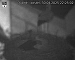 Capi_Dubne_20250430_222502.jpg