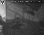 Capi_Dubne_20250430_223003.jpg