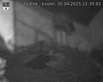 Capi_Dubne_20250430_223502.jpg