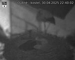 Capi_Dubne_20250430_224002.jpg