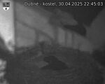 Capi_Dubne_20250430_224503.jpg