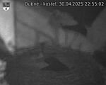 Capi_Dubne_20250430_225502.jpg