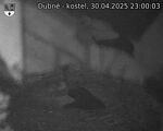 Capi_Dubne_20250430_230003.jpg
