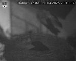 Capi_Dubne_20250430_231002.jpg
