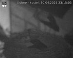 Capi_Dubne_20250430_231503.jpg