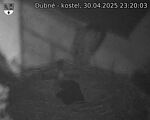 Capi_Dubne_20250430_232003.jpg