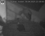 Capi_Dubne_20250430_233003.jpg