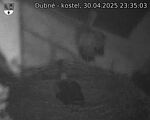 Capi_Dubne_20250430_233503.jpg