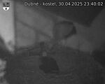 Capi_Dubne_20250430_234002.jpg