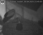 Capi_Dubne_20250430_234503.jpg